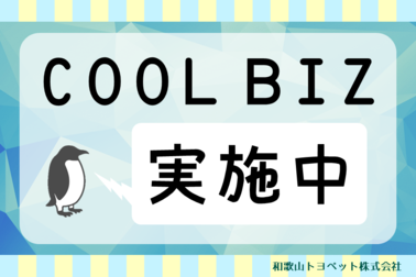 クールビズ
