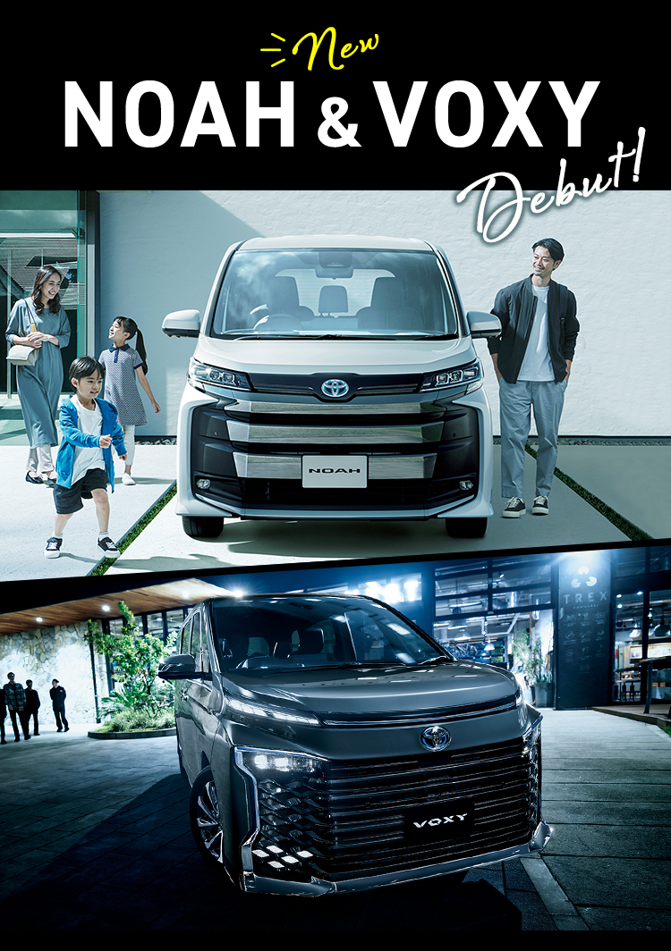 M'z SPEED | BodyKit | ノア | NOAH (ZRR80W) Si grade (ZWR80W