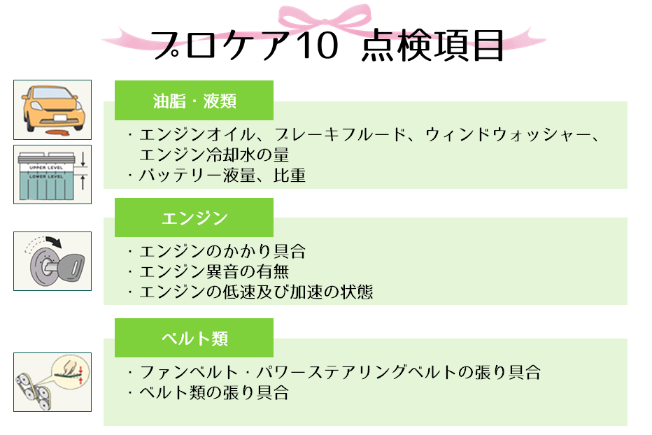 プロケア10点検項目
