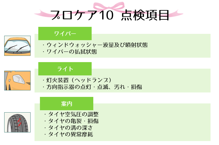 プロケア10点検項目