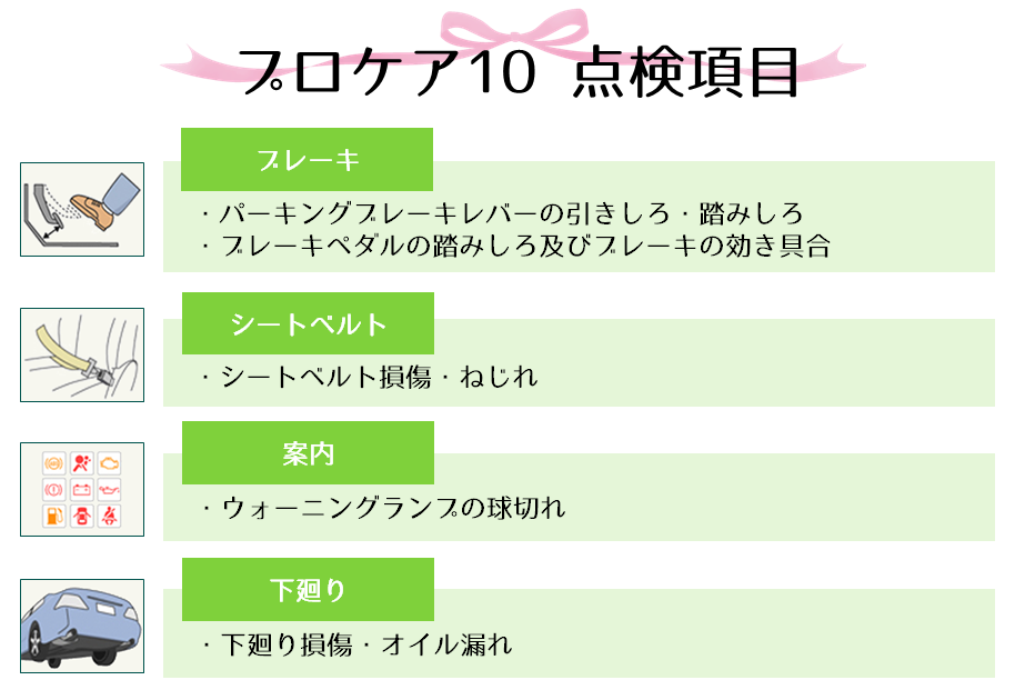 プロケア10点検項目