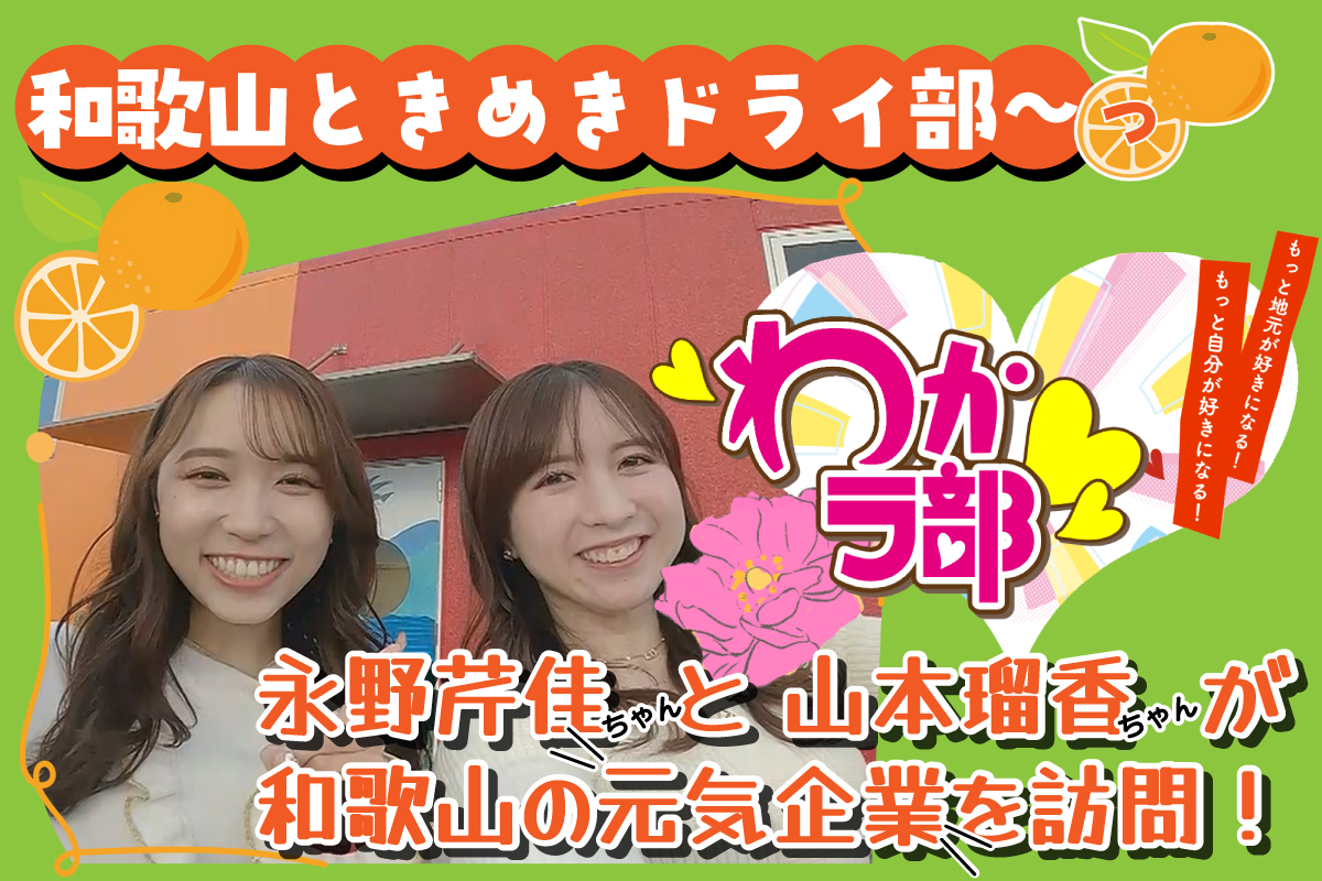 ときめきドライブ_ブロック